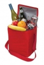 Cooler 12 Pack Cooler