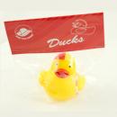 SLS Ducks for Dollars