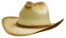 Sprayed Cowboy Straw Hat With Leather Band