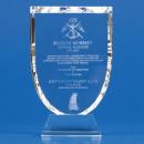 Shield Trophy (6) 215x140x24mm